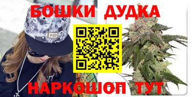 дурь Славгород