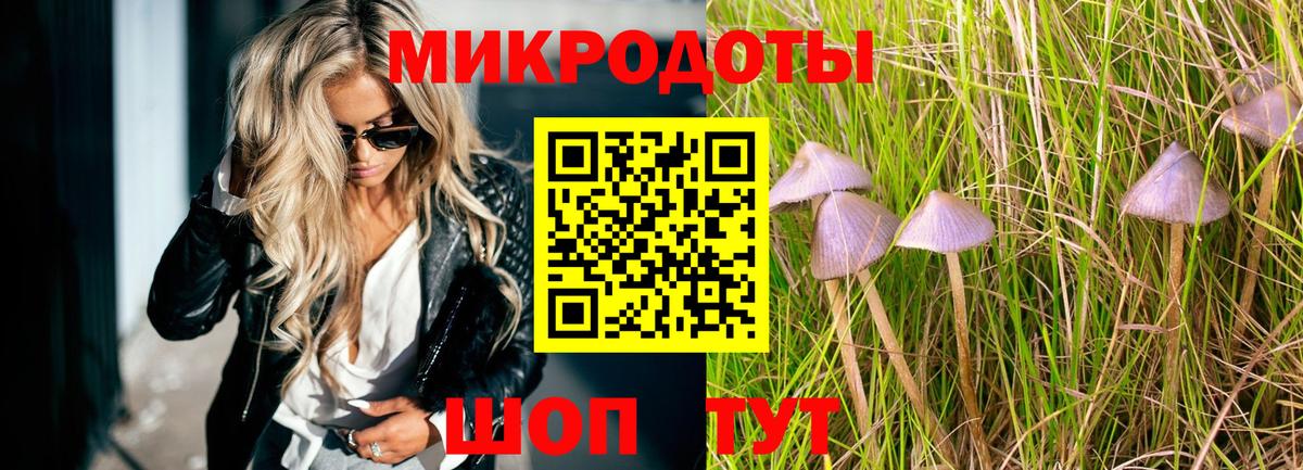 Галлюциногенные грибы Magic Shrooms  Галлюциногенные грибы ЛСД  Вход с VPN  Нововоронеж 